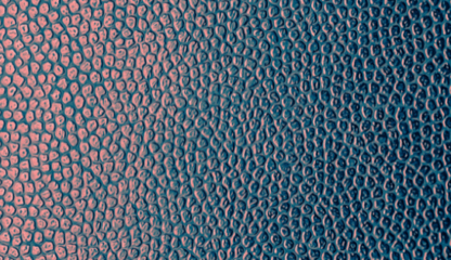 EleutherAI Unveils One of the Largest Licensed AI Training Datasets - ctrlf5